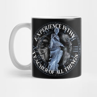 Experience is knowledge Mug